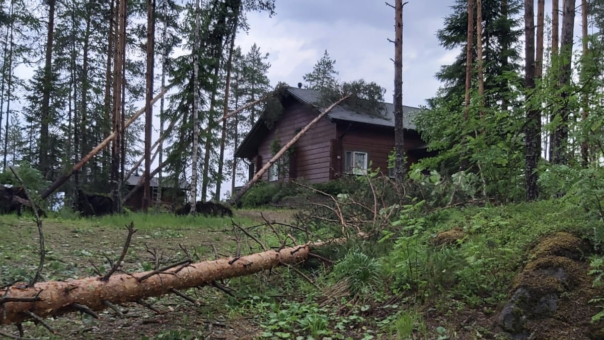 Контроль за Вашим Домом